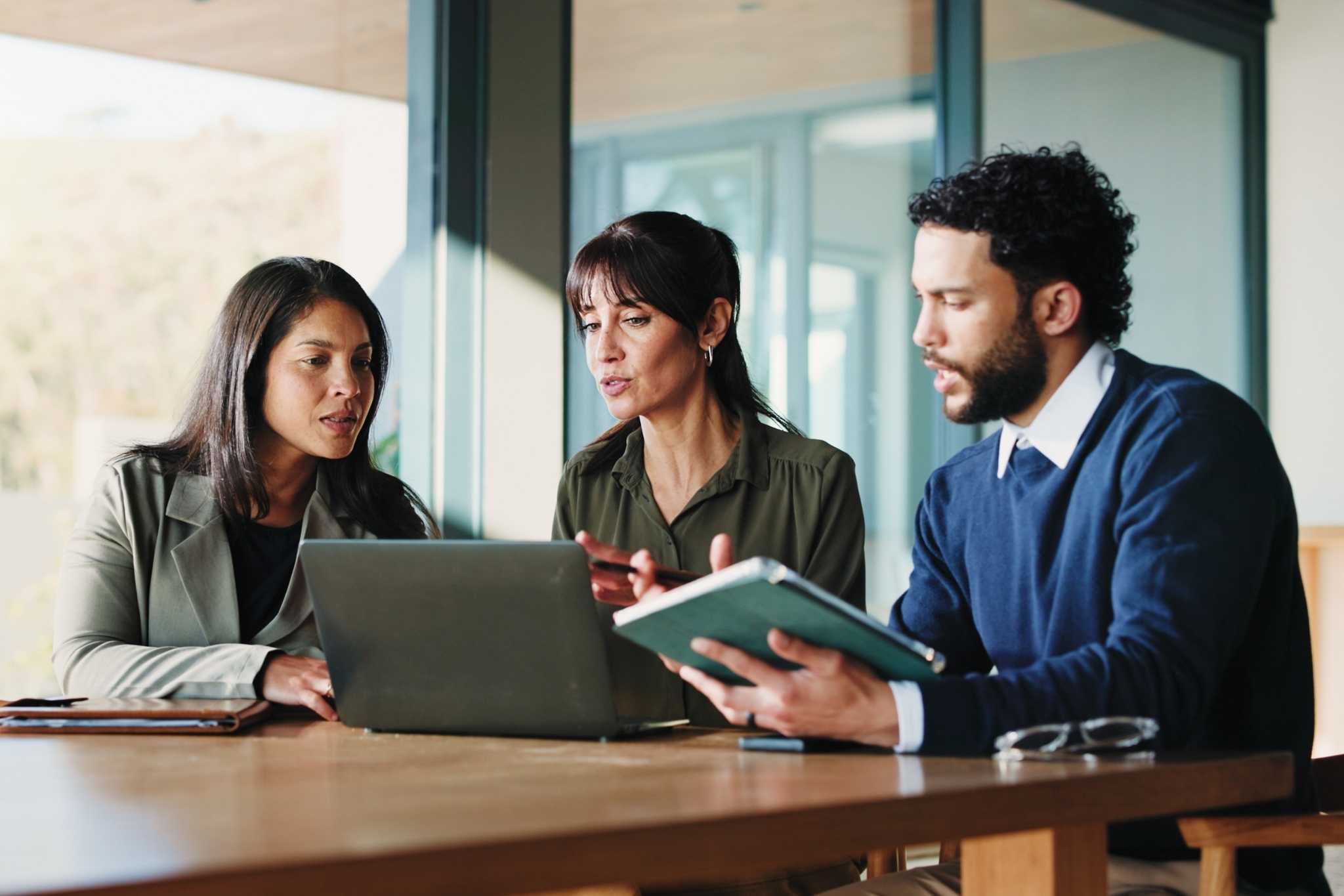 Organization, Job Evaluation, Benefits, Compensation, and Payroll Consultants